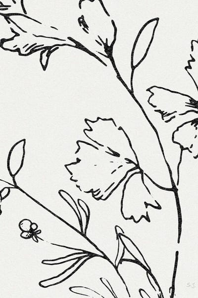 Black & White Florals: Botanical Sketch II by Susan Jill