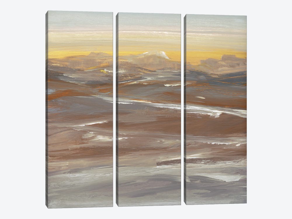 Desert Sundown by Susan Jill 3-piece Canvas Art