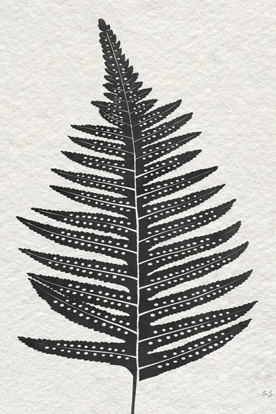 Ferns: Forest Fern IV by Susan Jill