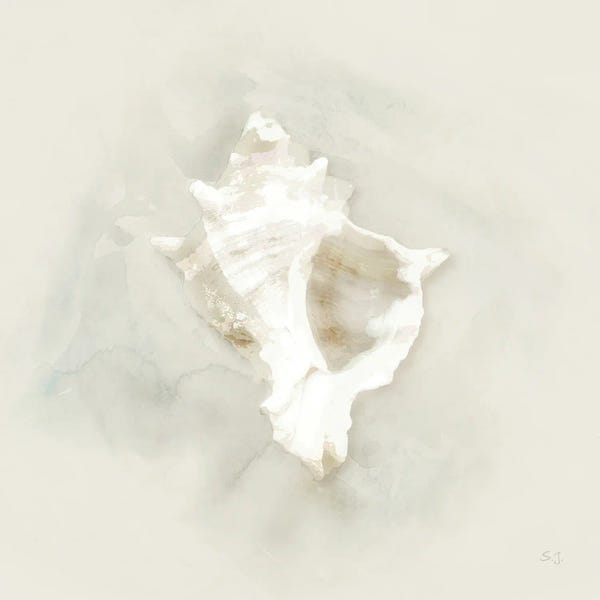 Susan Jill: Soft Sand And Shell I by Susan Jill