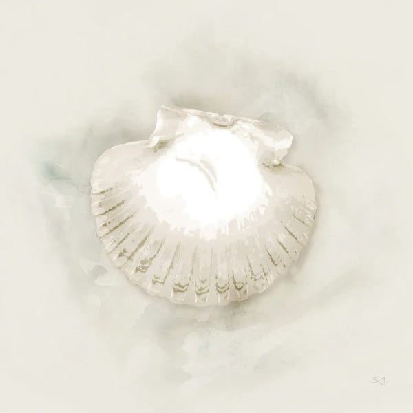 Susan Jill: Soft Sand And Shell II by Susan Jill