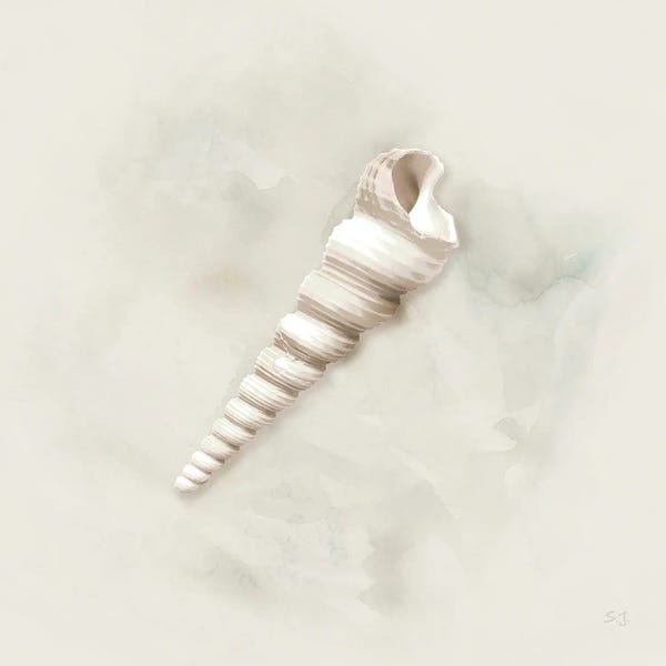 Susan Jill: Soft Sand And Shell III by Susan Jill