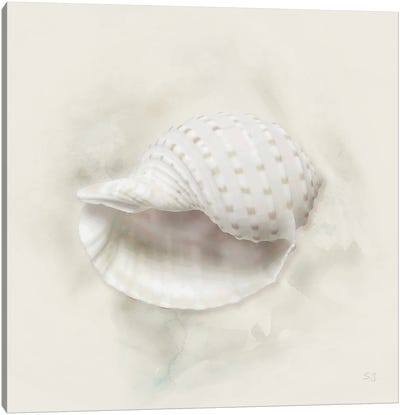 Soft Sand And Shell IV Canvas Art Print