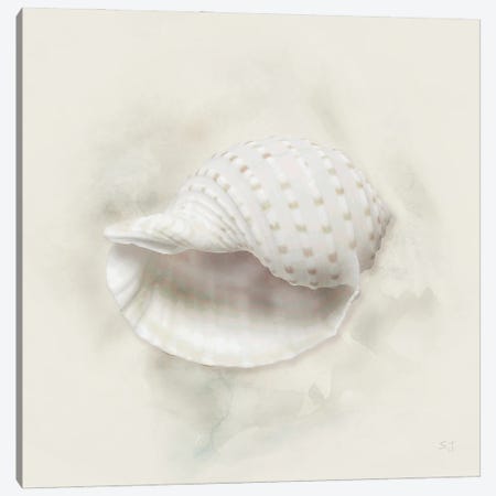 Soft Sand And Shell IV Canvas Print #SUS292} by Susan Jill Canvas Wall Art