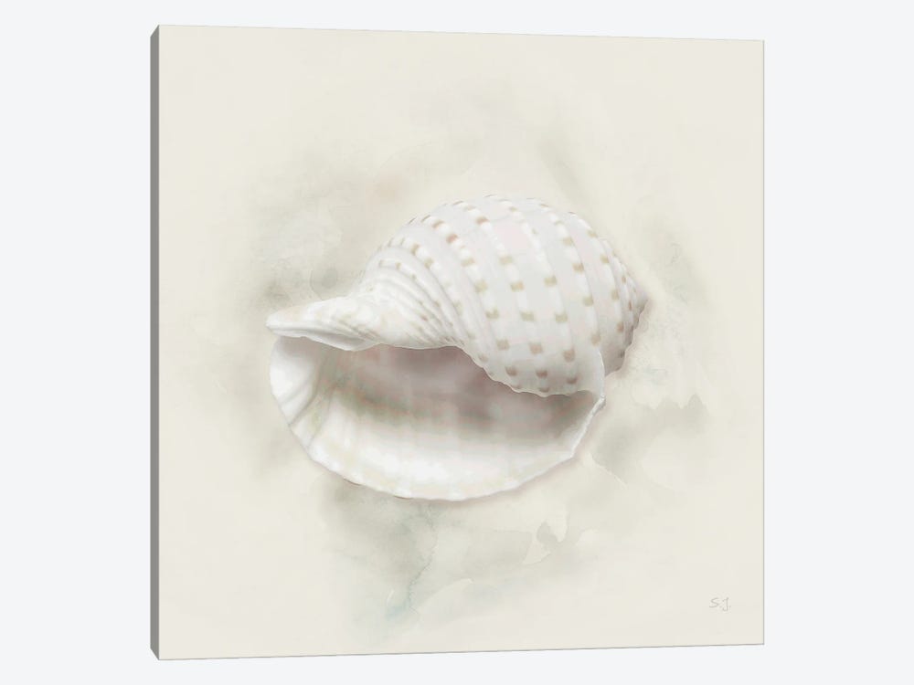 Soft Sand And Shell IV by Susan Jill 1-piece Canvas Art