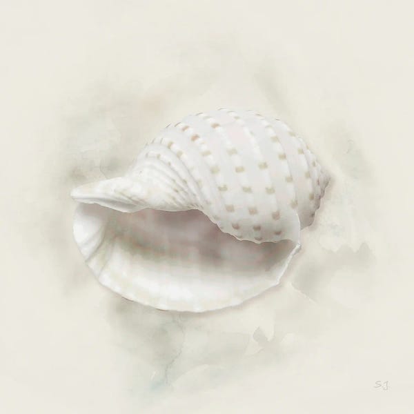 Susan Jill: Soft Sand And Shell IV by Susan Jill