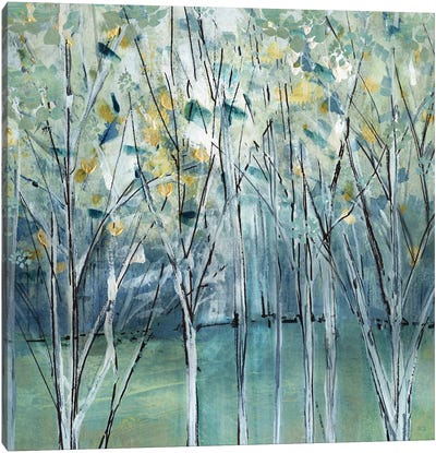 Frost Valley Light Canvas Art Print - Susan Jill