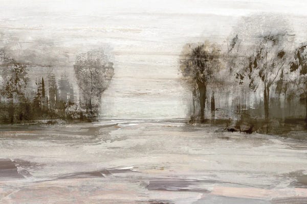 Marshes & Swamps: Near Graham Mountain by Susan Jill