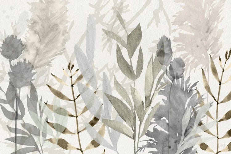 Shadow Woods by Susan Jill wall art