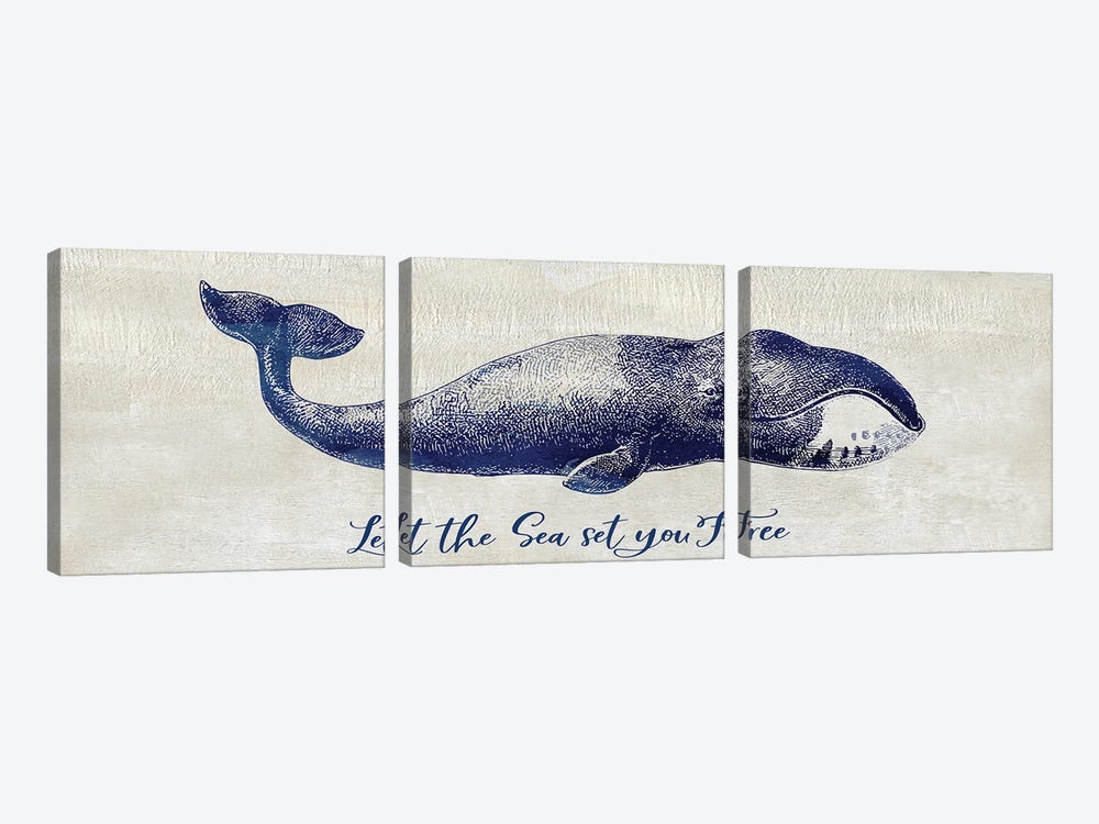 Let The Sea Set You Free by Susan Jill 3-piece Canvas Print