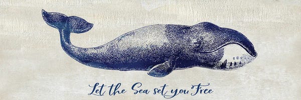 Whales: Let The Sea Set You Free by Susan Jill