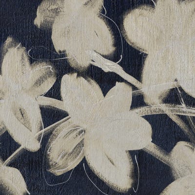 Midnight Summer Garden I by Susan Jill canvas print