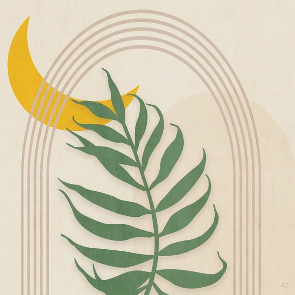 Rainbows: Moon Rainbow by Susan Jill