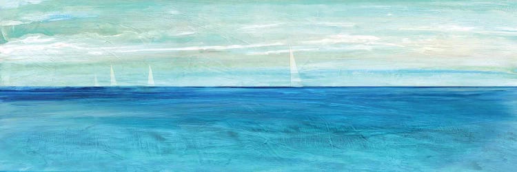 St. Maarten by Susan Jill wall art