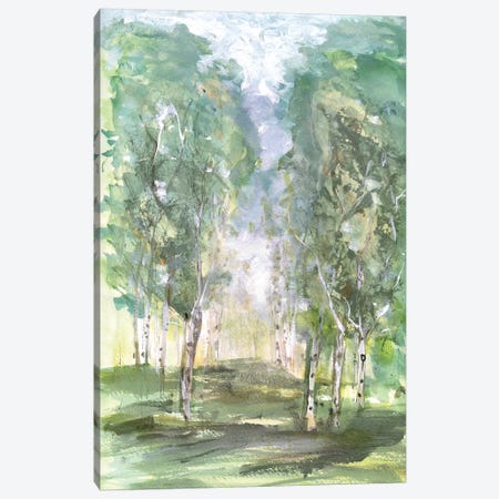 Birch Meadow Canvas Print #SUS68} by Susan Jill Canvas Print