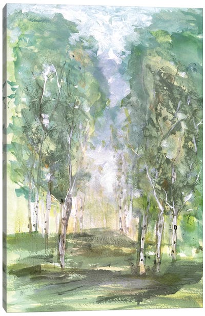Birch Meadow Canvas Art Print - Birch Tree Art