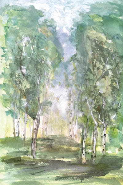 Birch Trees: Birch Meadow by Susan Jill