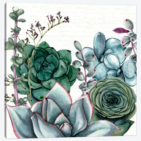 Succulent Garden I Canvas Print #SUS94} by Susan Jill Canvas Print