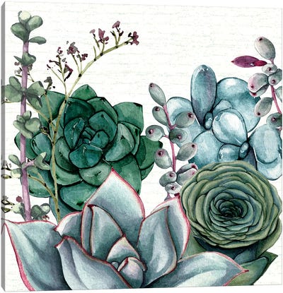 Succulent Garden I Canvas Art Print - Susan Jill