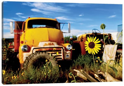 Yellow Daisy With Truck Canvas Art Print - Trucks