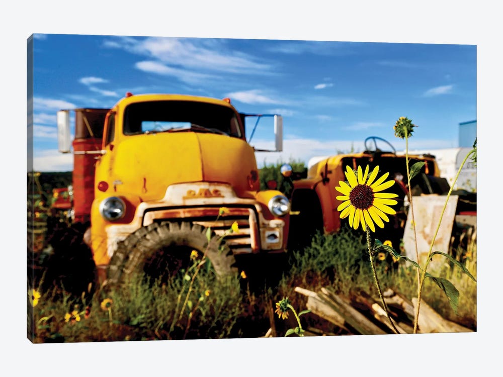 Yellow Daisy With Truck by Susan Vizvary 1-piece Canvas Art