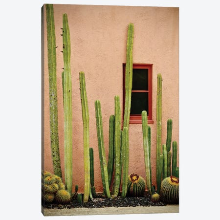 Adobe Cactus Canvas Print #SUV112} by Susan Vizvary Canvas Print