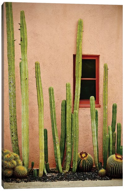 Adobe Cactus Canvas Art Print - Cactus Art
