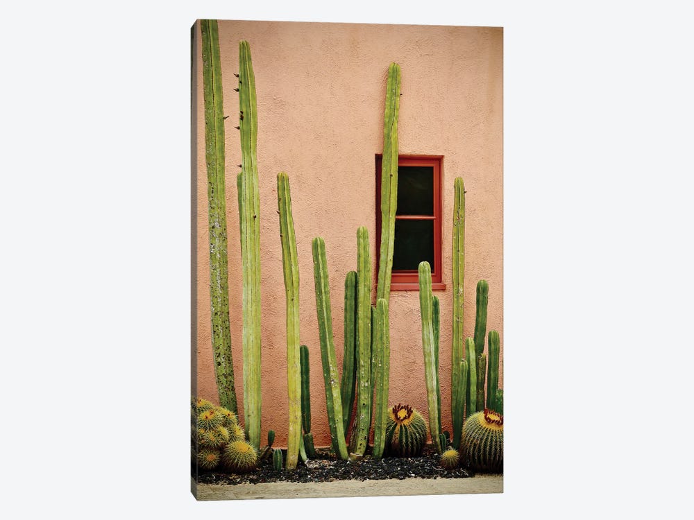 Adobe Cactus by Susan Vizvary 1-piece Canvas Artwork
