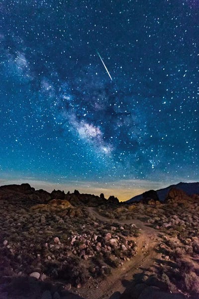 Susan Vizvary: Shooting Star II by Susan Vizvary