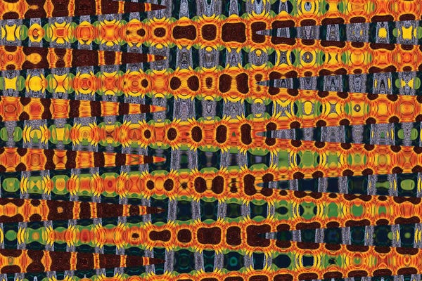 Susan Vizvary: Sunflower II by Susan Vizvary