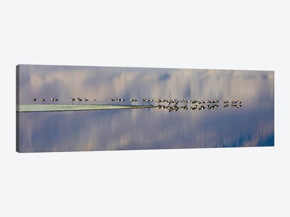 Birds On Owens Lake by Susan Vizvary 1-piece Canvas Artwork