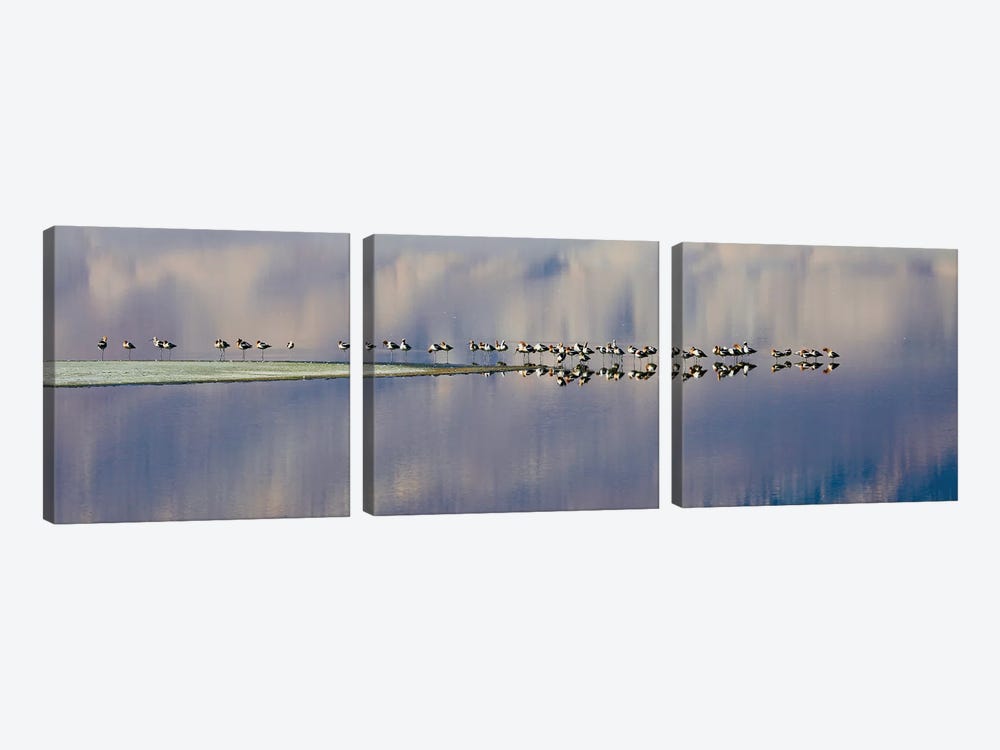 Birds On Owens Lake by Susan Vizvary 3-piece Canvas Wall Art