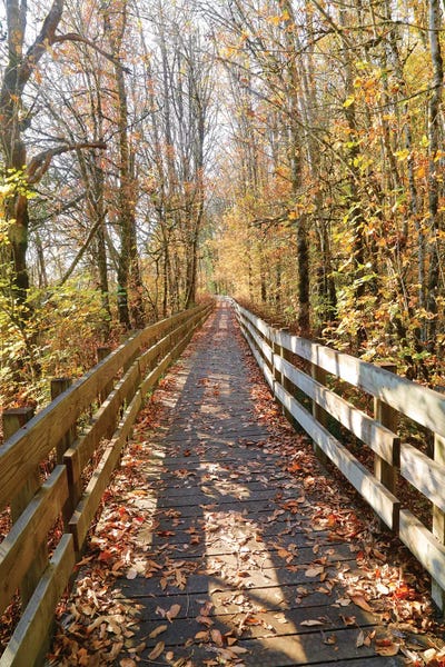 Susan Vizvary: Autumn On The Boardwalk by Susan Vizvary