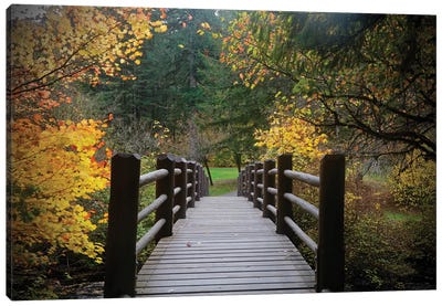 Autumn's Bridge I Canvas Art Print - Autumn & Thanksgiving