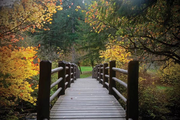 Susan Vizvary: Autumn's Bridge I by Susan Vizvary