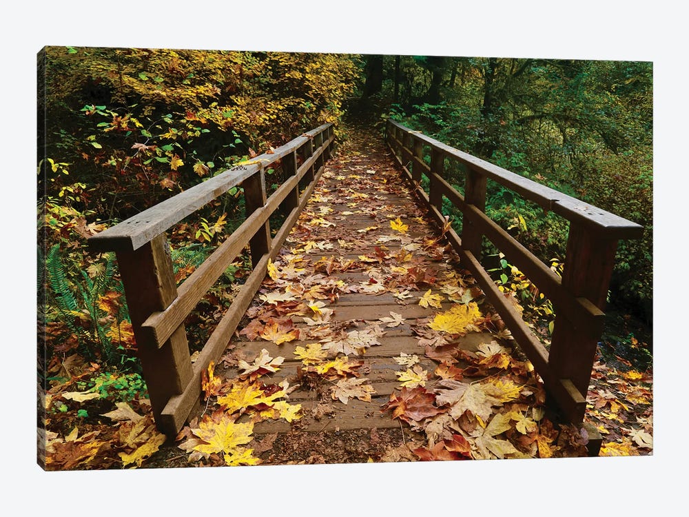 Autumn's Bridge II by Susan Vizvary 1-piece Canvas Art