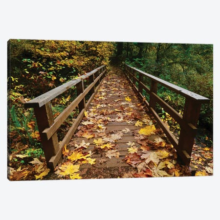 Autumn's Bridge II Canvas Print #SUV172} by Susan Vizvary Canvas Art Print