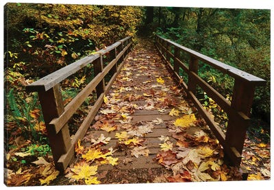 Autumn's Bridge II Canvas Art Print - Susan Vizvary