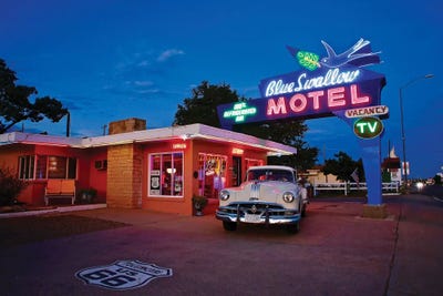 Blue Swallow by Susan Vizvary framed canvas print