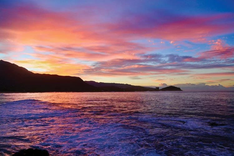 Good Morning, Hawaii by Susan Vizvary wall art