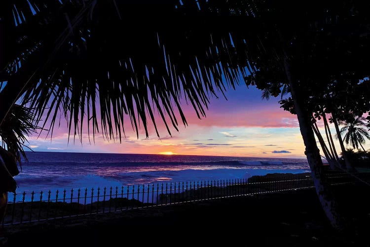 Hawaiian Sunset Palms