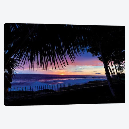 Hawaiian Sunset Palms Canvas Print #SUV183} by Susan Vizvary Canvas Wall Art