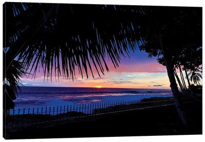Hawaiian Sunset Palms Canvas Art Print - Beach Sunrise & Sunset Art