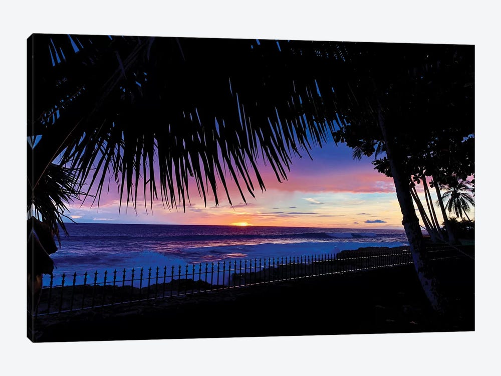 Hawaiian Sunset Palms by Susan Vizvary 1-piece Canvas Wall Art