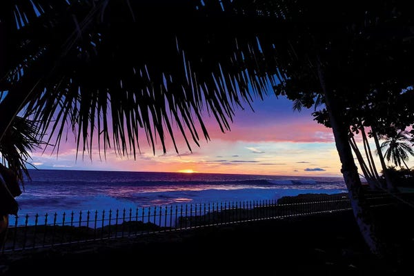 Susan Vizvary: Hawaiian Sunset Palms by Susan Vizvary