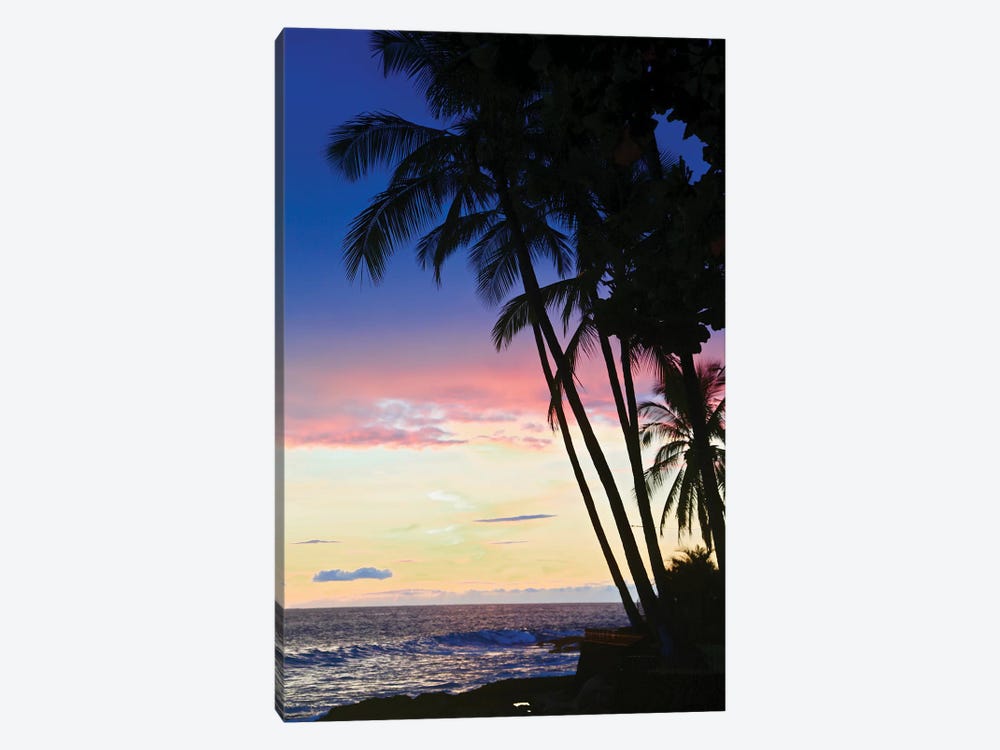 Hawaiian Sunset by Susan Vizvary 1-piece Canvas Art Print