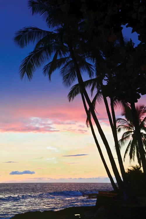 Hawaiian Sunset by Susan Vizvary wall art