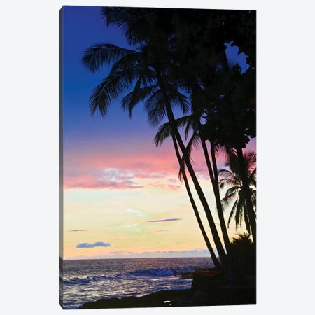 Hawaiian Sunset Canvas Print #SUV184} by Susan Vizvary Art Print