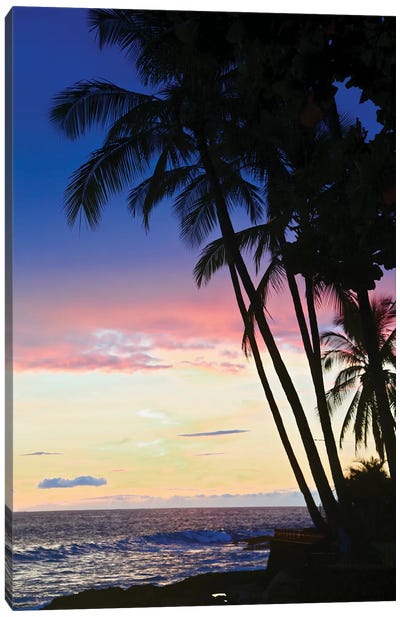 Hawaiian Sunset Canvas Art Print - Susan Vizvary