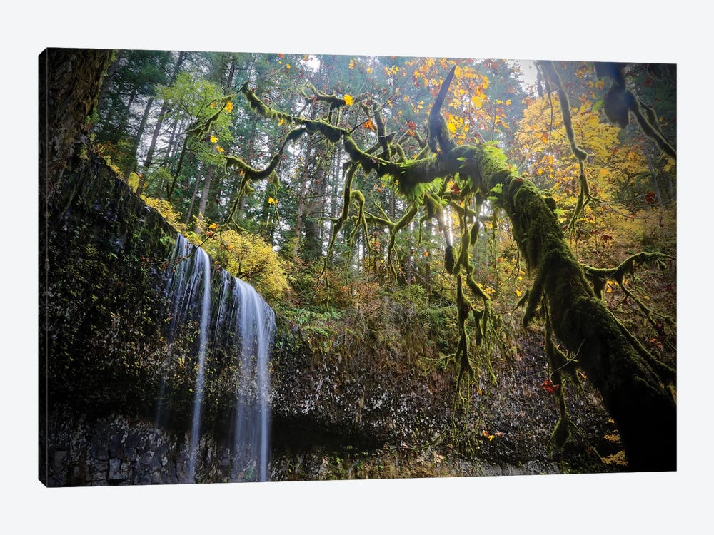 Mystic Falls by Susan Vizvary 1-piece Canvas Artwork